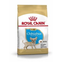 Royal Canin hrana za pse Chihuahua PUPPY 500g