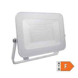 LED REFLEKTOR 50W CW BELI LRF024EW PROSTO