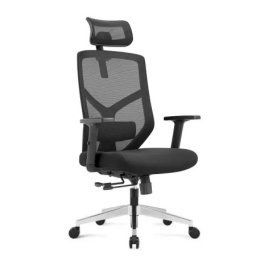 Ergonomska radna stolica LIN - Crna ( 5911 )