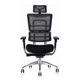 Ergonomska radna stolica HAVAS - Crna ( 5497 )