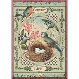 DFSA4352 pirincani papir A4 Country life Birds