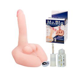 Ženski masturbator Mr Big