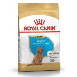 ROYAL CANIN Poodle Junior - 500 g