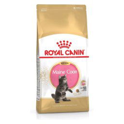 Royal Canin Mainecoon Kitten - 2 kg