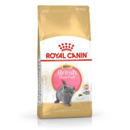 Royal Canin British Shorthair Kitten - 2 kg