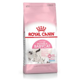 Mother & Baby Cat - 2 kg