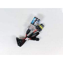 Sijalica za Xenon H11 6000k par