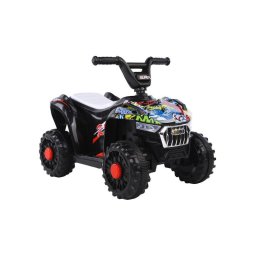 Motor Quad na akumulator