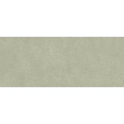 LISBON OLIVE