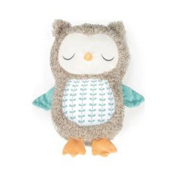 Kids ii 12477 ingenuity plisana igracka - nally the owl 0m+ ( SKU12477 )