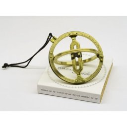 Lacerta ringed sunidal replica ( RingSU )