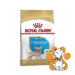 Royal Canin BHN Chihuahua Puppy, 500g, Granule Za Štence Rase Čivava Do 8 Meseci