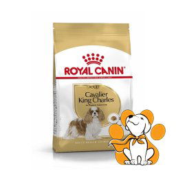 Royal Canin Cavalier King Charles Adult 1.5kg, Hrana Za Odrasle Pse Od 12 Meseci