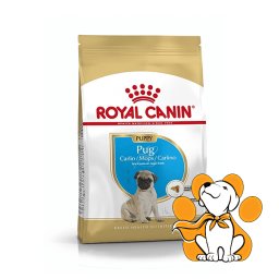 Royal Canin BHN Mops Pug Puppy, 1.5kg, Hrana Za Štence Rase Mops Do 10 Meseci