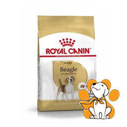 Royal Canin Beagle Adult, 3kg, Granule Za Odrasle Pse Rase Bigl Preko 12 Meseci