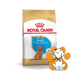 Royal Canin BHN Poodle Puppy, 500g, Hrana Za Štence Rase Pudle Do 10 Meseci