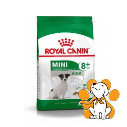 Royal Canin SHN Mini Adult, 800g, Kompletna Suva Hrana Za Odrasle Pse