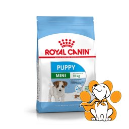 Royal Canin SHN Mini Puppy, 4kg, Suva Hrana Za Štence Do 10 Meseci Starosti