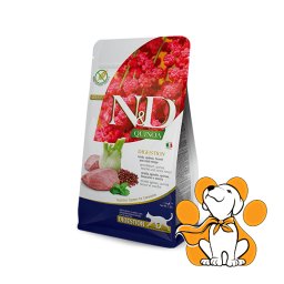 N&D Quinoa Digestion Lamb, Fennel & Mint Recipe 1,5kg, Za Digestivno Zdravlje