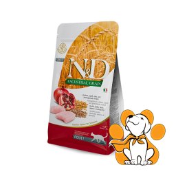 N&D Ancestral Grain Adult Chicken, Spelt, Oats&Pomegranate Recipe 10kg, Granule
