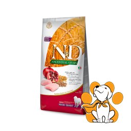 N&D Ancestral Grain Adult Maxi Giant Chicken 12kg, Hrana za Džinovske Rase Pasa