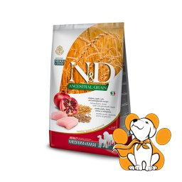 N&D Ancestral Grain Adult Medium&Maxi Chicken&Pomegranate 2,5kg, Piletina i Nar
