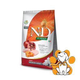N&D Pumpkin Puppy Medium&Maxi Chicken, Pumpkin&Pomegranate 12kg, Štenci i Kuje