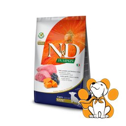 N&D Pumpkin Puppy Mini Lamb&Blueberry 800g, Pseća Hrana od Jagnjetine za Štence