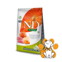 N&D Pumpkin Adult Medium & Maxi Adult Boar & Apple 12kg, Sa Bundevom i Jabukama
