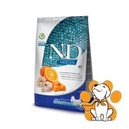 N&D Ocean Adult Mini Codfish Pumpkin&Orange 800g, Suva Hrana za Pse od Bakalara
