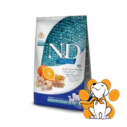 N&D Ocean Adult Medium&Maxi Codfish, Spelt ,Oats & Orange 12kg, Granule za Pse