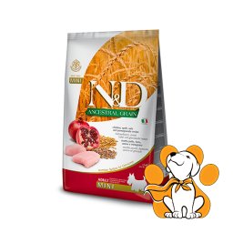 N&D Ancestral Grain Adult Mini Chicken & Pomegranate 800g, Granule Piletina-Nar
