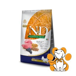 N&D Ancestral Grain Adult Mini Lamb & Blueberry 2,5kg, Za Odrasle Male Pse
