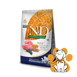 N&D Ancestral Grain Adult Medium & Maxi Lamb & Blueberry 12kg, Suva Hrana za Pse