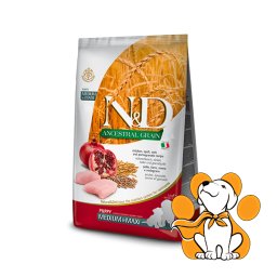 N&D Ancestral Grain Puppy Medium&Maxi Chicken&Pomegranate 12kg, Granule za Pse