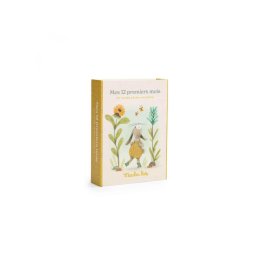 Mojih prvih 12 meseci - Trois Petits Lapins