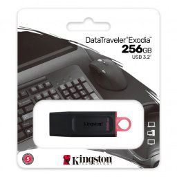 KINGSTON 256GB USB 3.2 EXODIA DTX/256GB