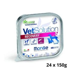 Monge VetSolution Dog Recovery Wet
