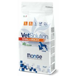 Monge VetSolution Dog Renal & Oxalate - 12 kg