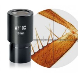 BTC mikroskop okular WF10x biološki sa mernom skalom ( Mik10xm )