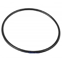 Intex gumica za rezervoar sf pumpe 10(rd) ( 11728 )