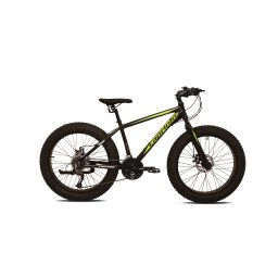 MTB CAPRIOLO Mammut 24