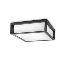 PH066 Philips spoljašnja zidna - plafonska svetiljka Skies max 2x42W 230V antracit