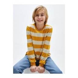 LC Waikiki Lcwk Crew Neck Striped Long Sleeve Boy's Knitwear Sweater