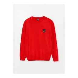 LC Waikiki Crew Neck Long Sleeve Boy's Knitwear Sweater