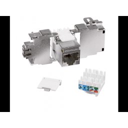 SCHRACK TOOLLESS LINE-RJ45 MODUL, CAT.6A 10GBIT, STP (SFA) HSEMRJ6GWT