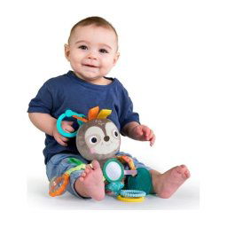 KIDS II BRIGHT STARTS PLISANA IGRACKA PLAYFUL PALS™ SLOTH - 12274 0M+