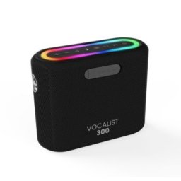 Hifuture VOCALIST 300