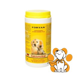 Fortan CalciumCitrat 600g, Vitaminski dodatak za zdravlje kostiju