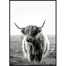 Dekordom slika sa ramom 60x90 toir25624 - buffalo ( 022424 )